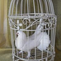 Doves