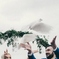 Doves Release