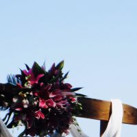 Timber Wedding Arbour