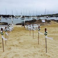 Timber Wedding Arbour