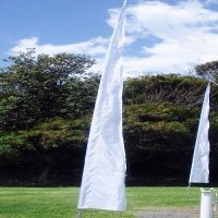 Wedding Bali Flag