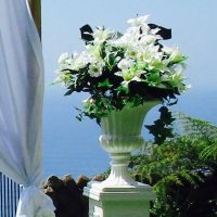 Bamboo Wedding Arch Chiffon Draping