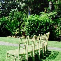 Bamboo Chairs