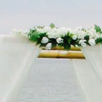 Chiffon Wedding Canopy