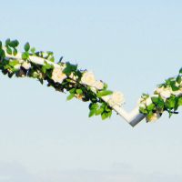 Heart Flower Wedding Arch