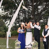 Bird Release