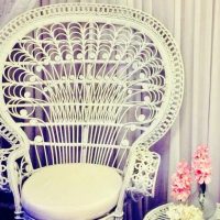 Peacock Chair