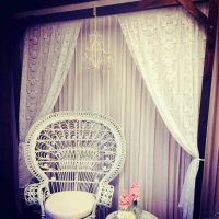 Peacock Chair