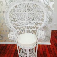 Peacock Chair