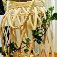 Cane Basket with Ivy