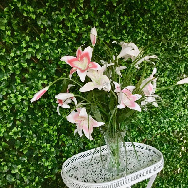 Green Wall Backdrop