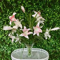 Green Wall Backdrop Wedding