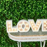 Green Wall Backdrop Wedding