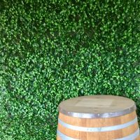 Green Wall Backdrop Wedding