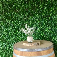 Green Wall Backdrop Wedding