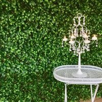 Green Wall Backdrop Wedding