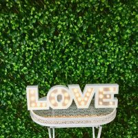 Green Wall Backdrop Wedding