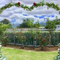 Floral Arch