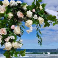 Arbour Flowers