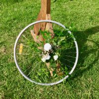 Bike Wheel