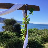 Timber Arbour