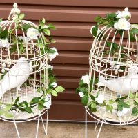 Doves Release
