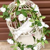 Doves Release