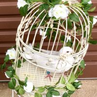 Doves Release