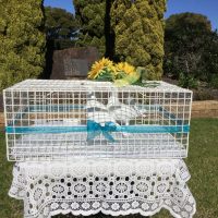 Doves for release