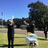 Doves for release