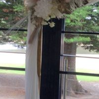 canopy