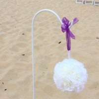 Aisle Pom Poms