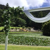 Bamboo Arbour