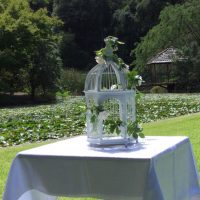 Wedding Cage