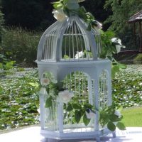 Wedding Cage